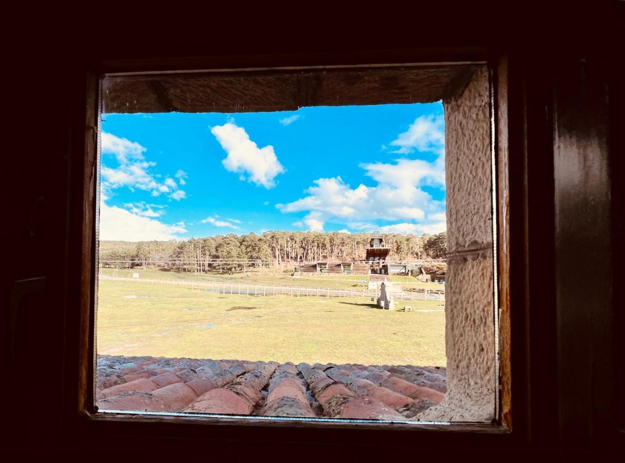 Regumiel de la Sierra Albergue Pinares - La Casona De Revenga מראה חיצוני תמונה